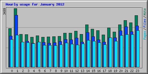 Hourly usage for January 2012
